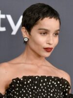Zoe Kravitz, Lambang "21st Century Fashion Girl"