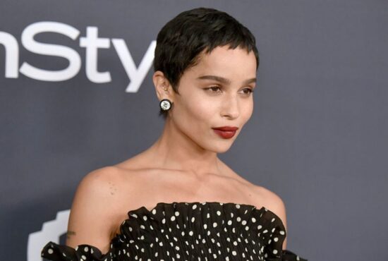Zoe Kravitz, Lambang "21st Century Fashion Girl"
