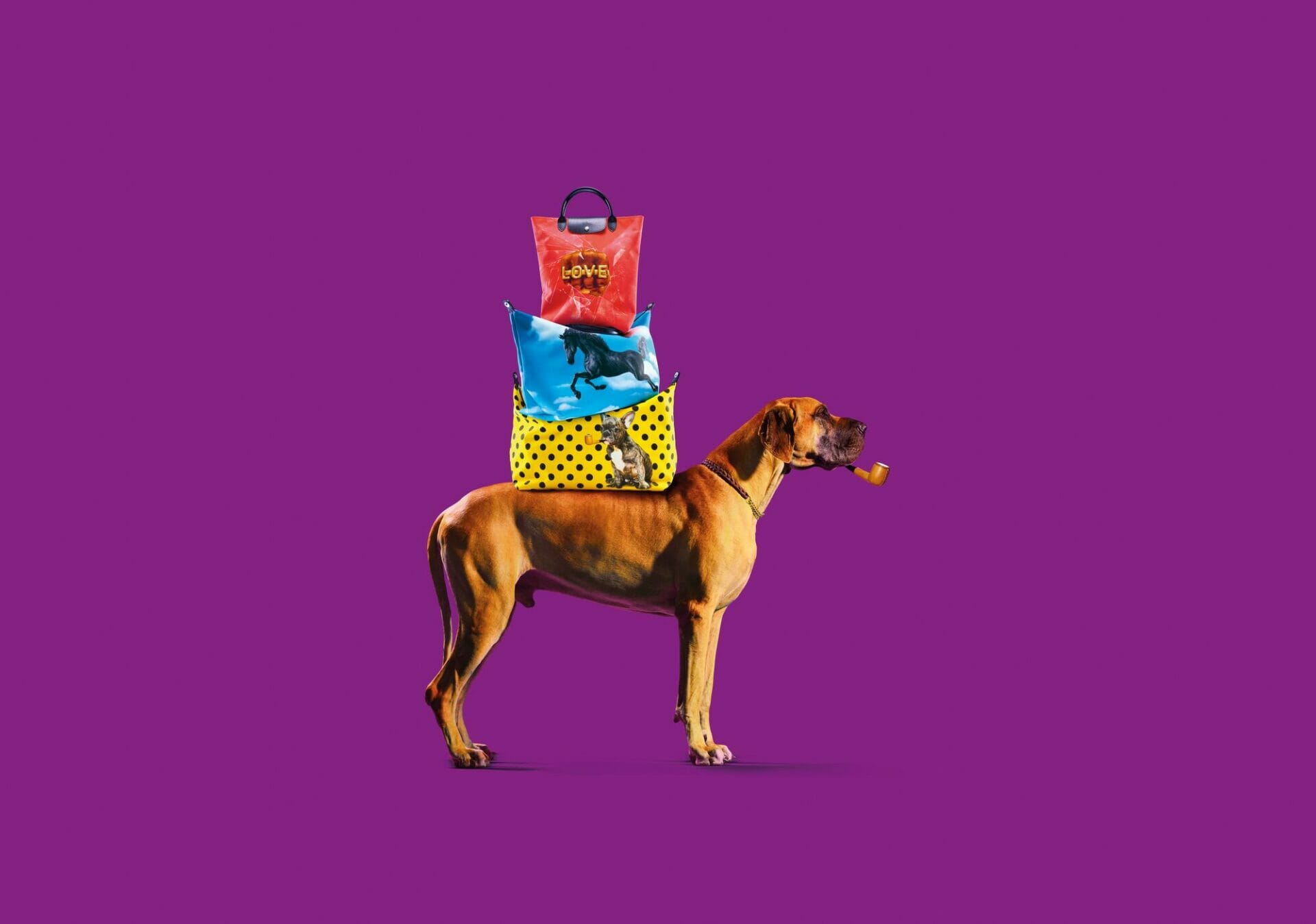 longchamp x toiletpaper