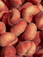 Buah Peach Donut