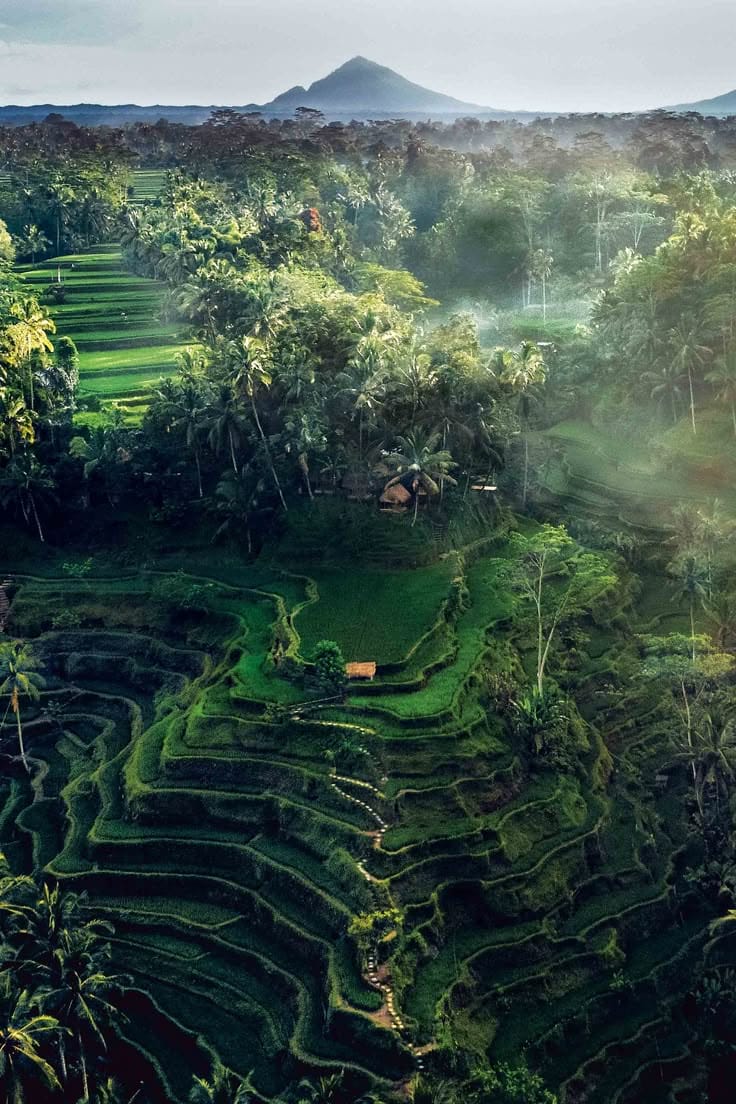 BALI